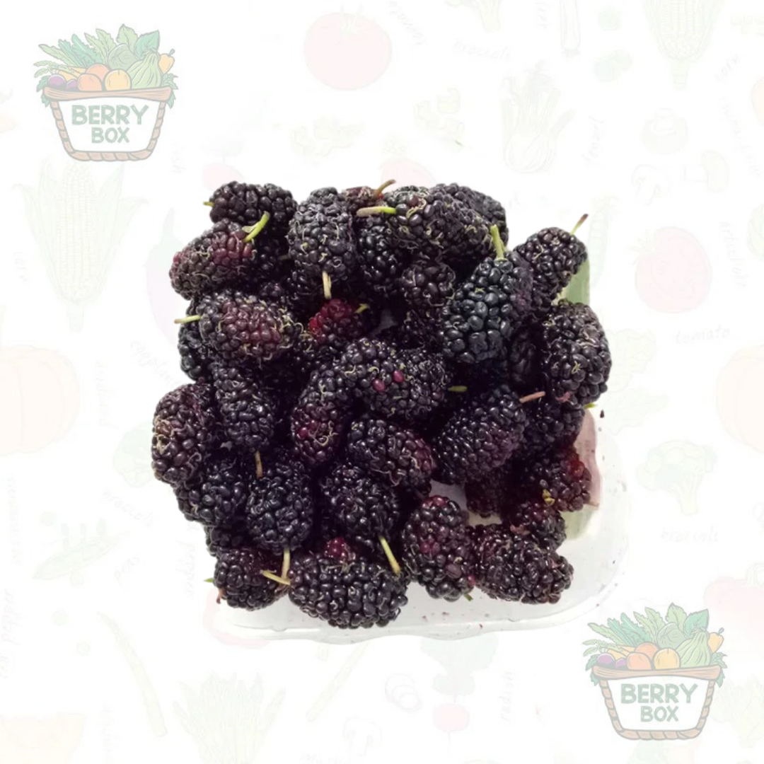 Mulberry (1 Box)