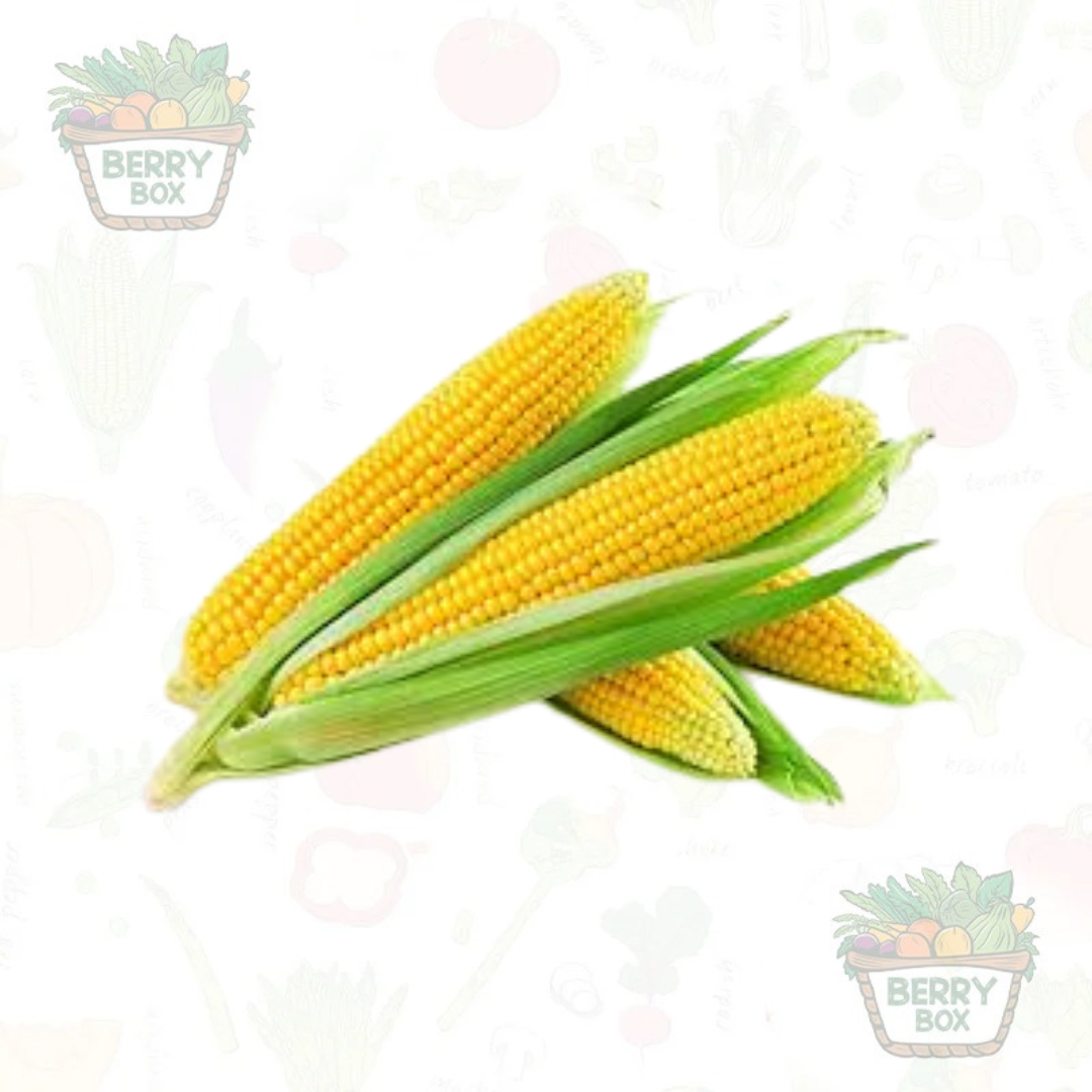 Sweet Corn