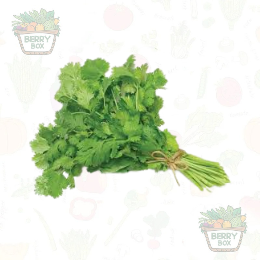 Coriander