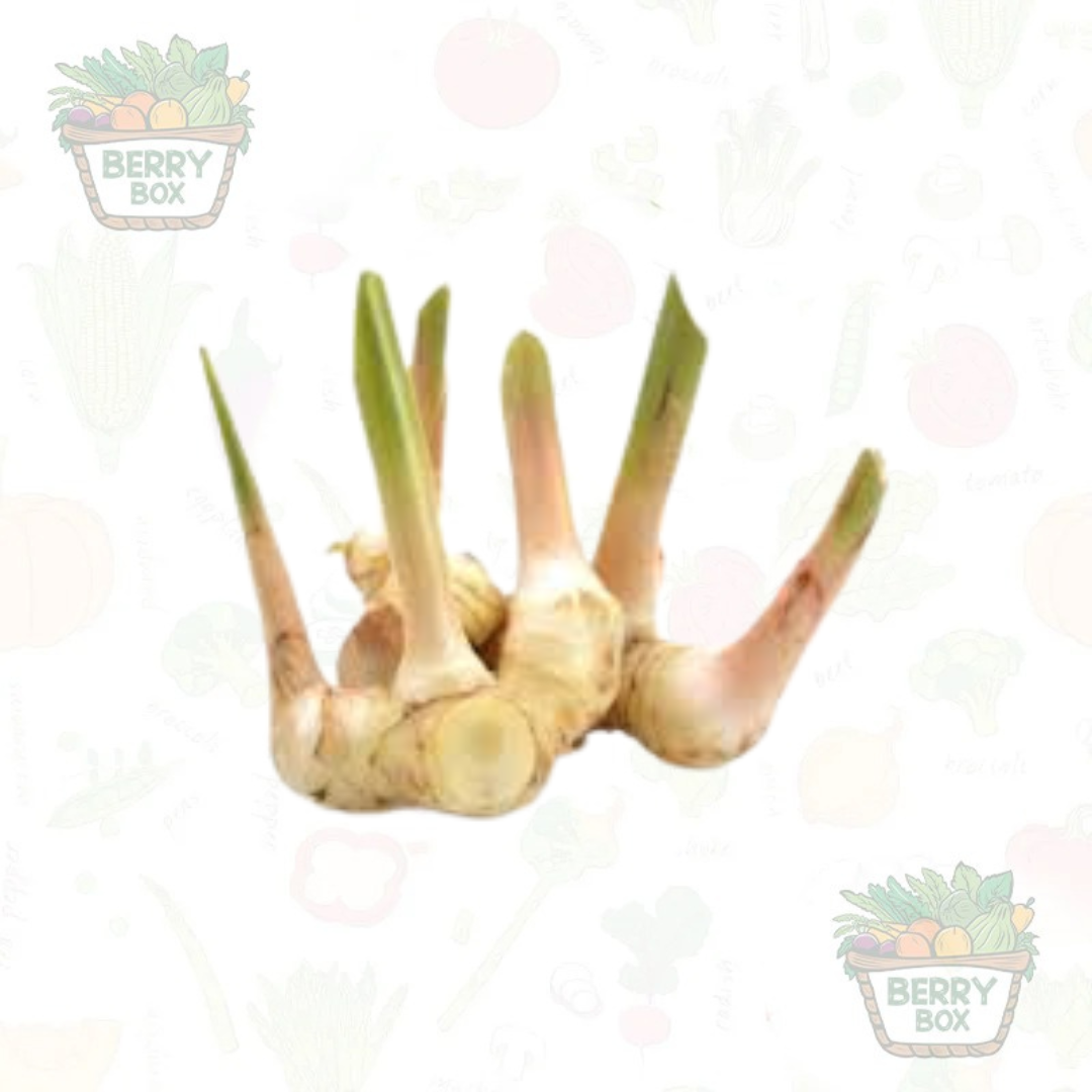 Galangal / Thai Ginger