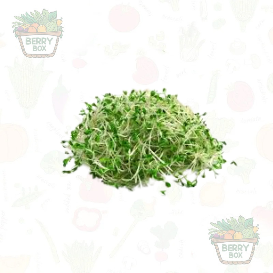 Alfalfa Sprout’s