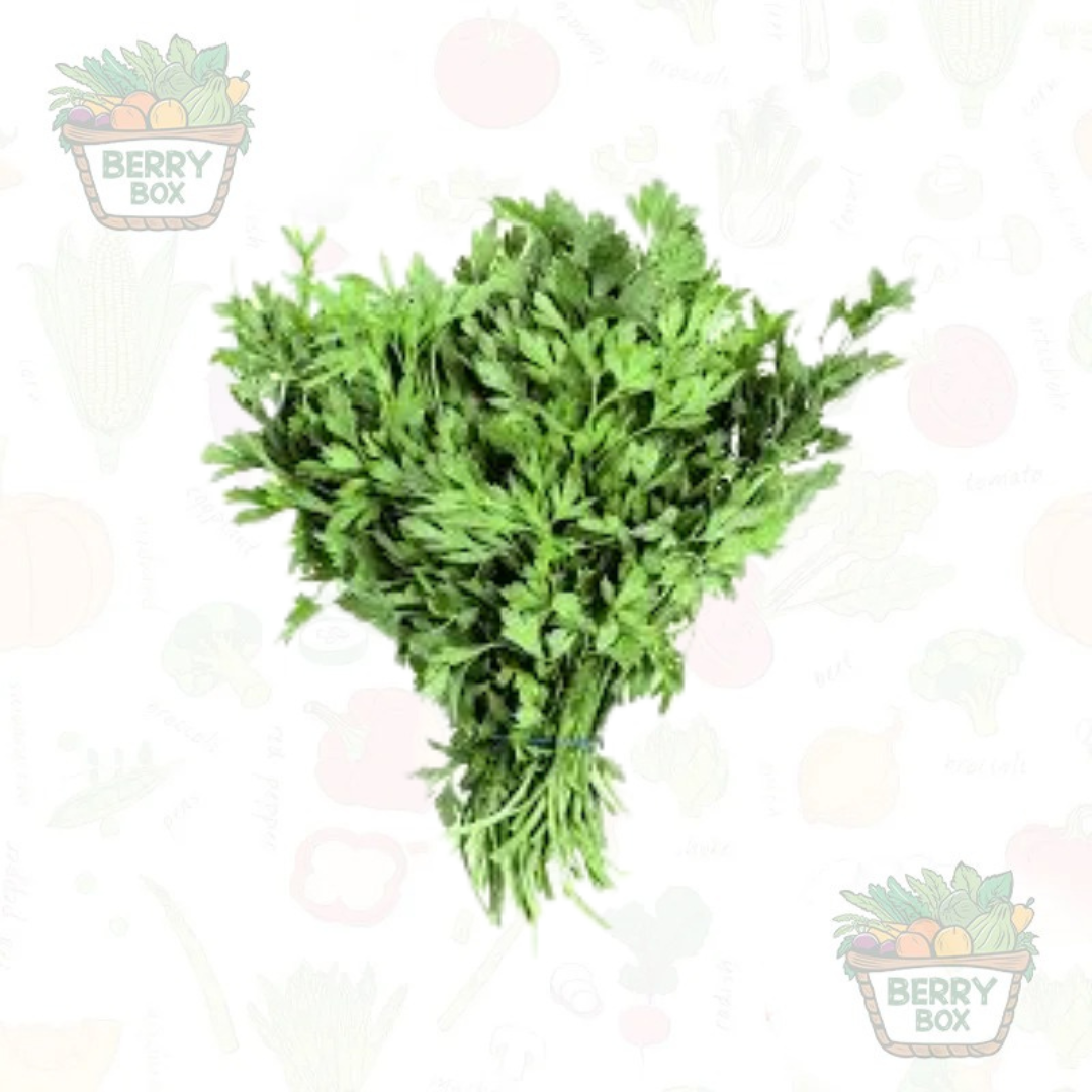 Herbs – Parsley Flat