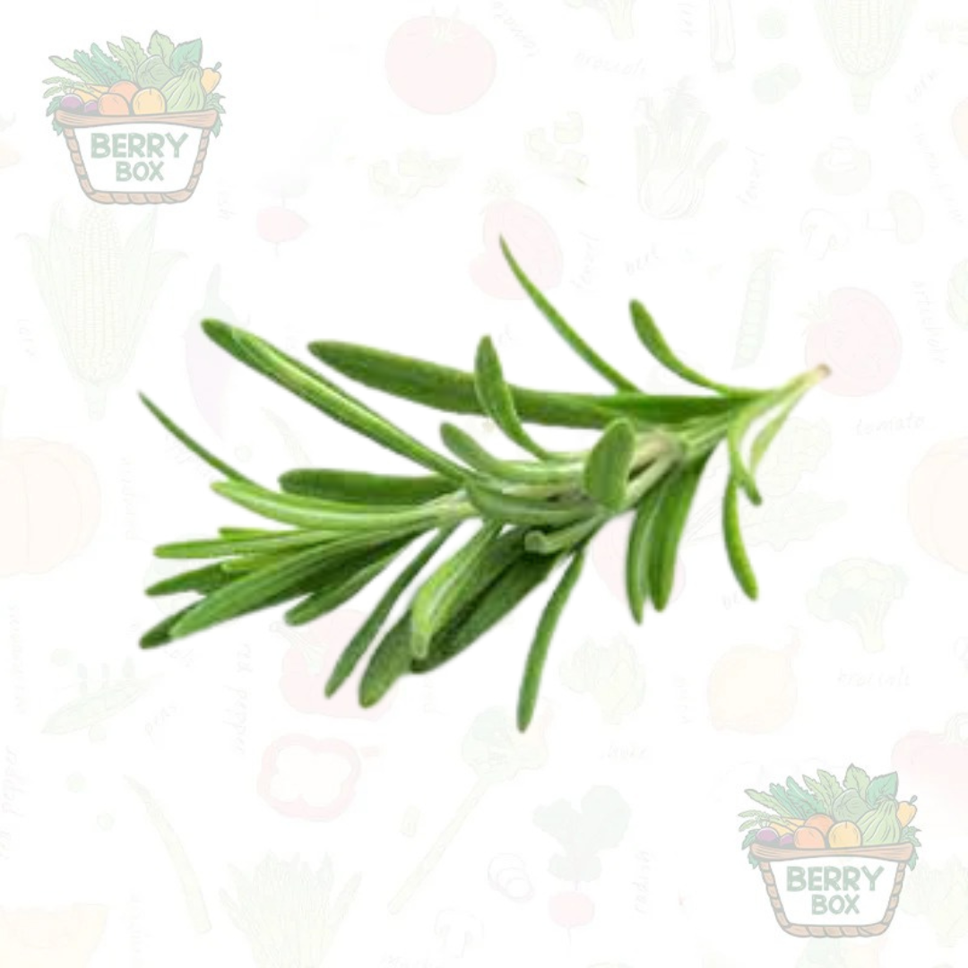 Herbs – Rosemary