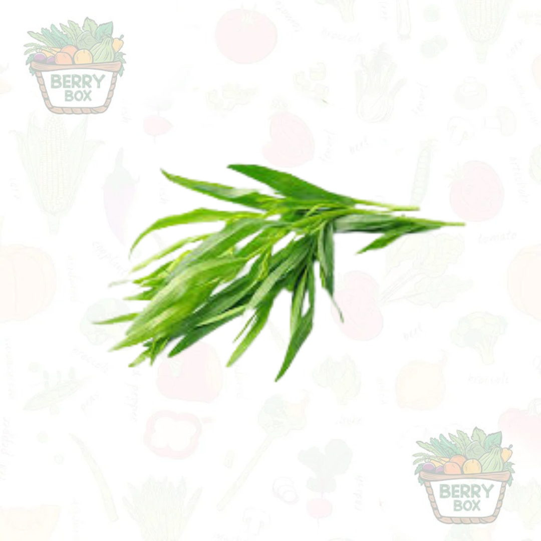 Herbs – Tarragon