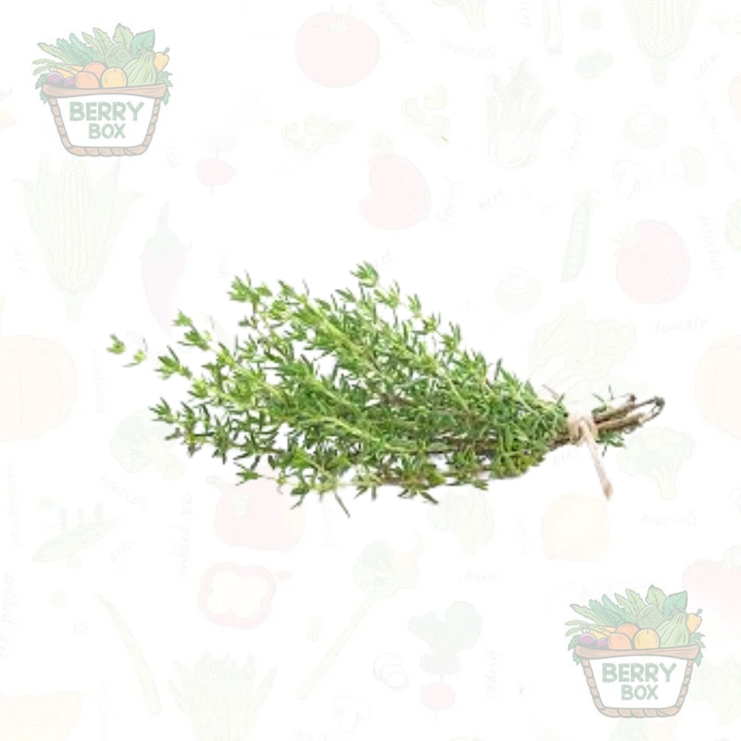 Herbs – Thyme