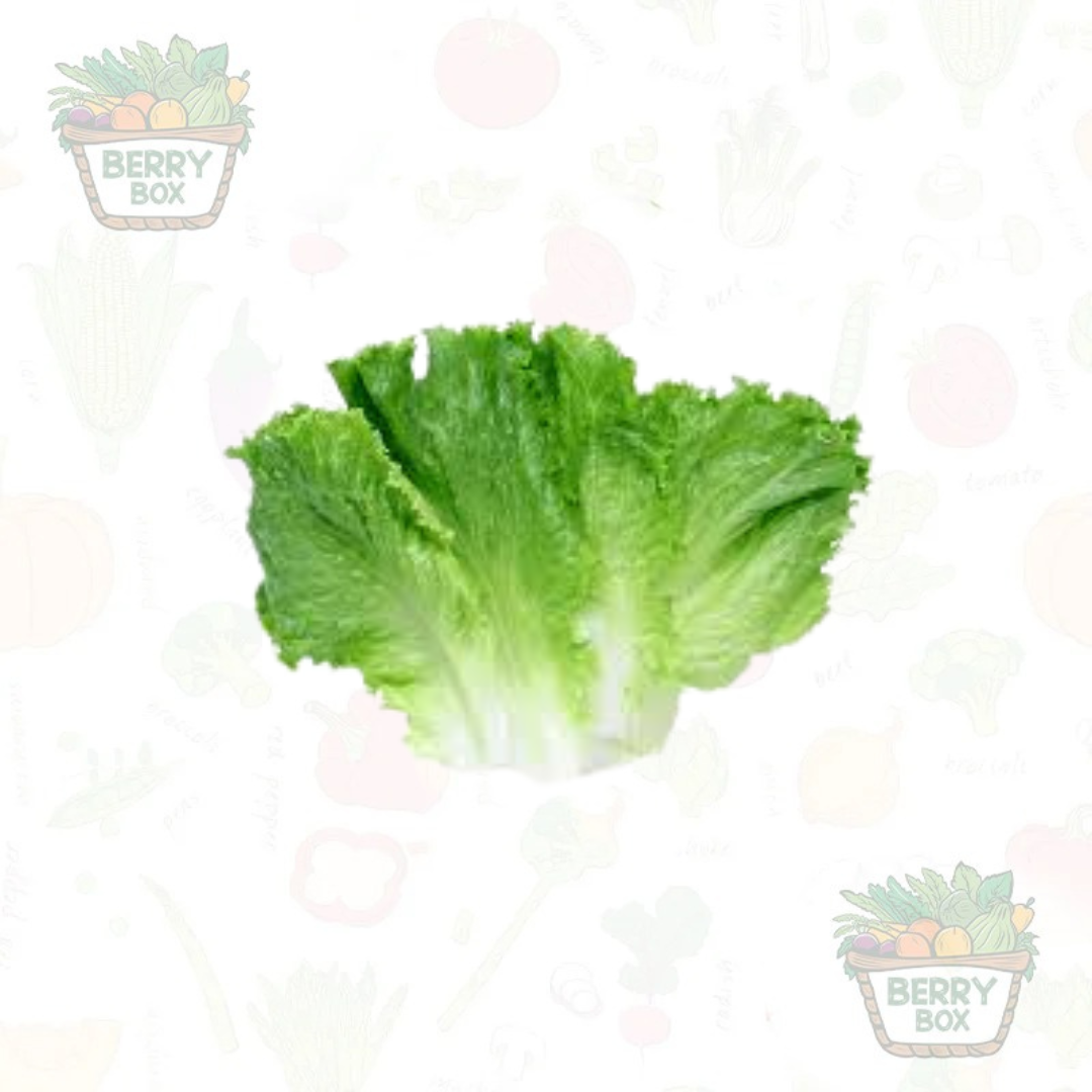 Lettuce Leafy