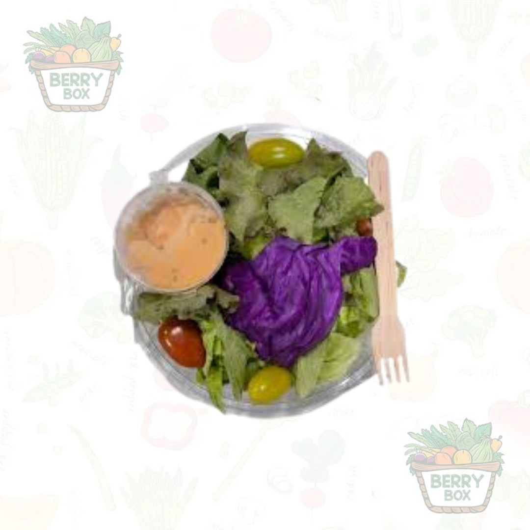 Healthy Exotic Salad Regular (1000 Island)