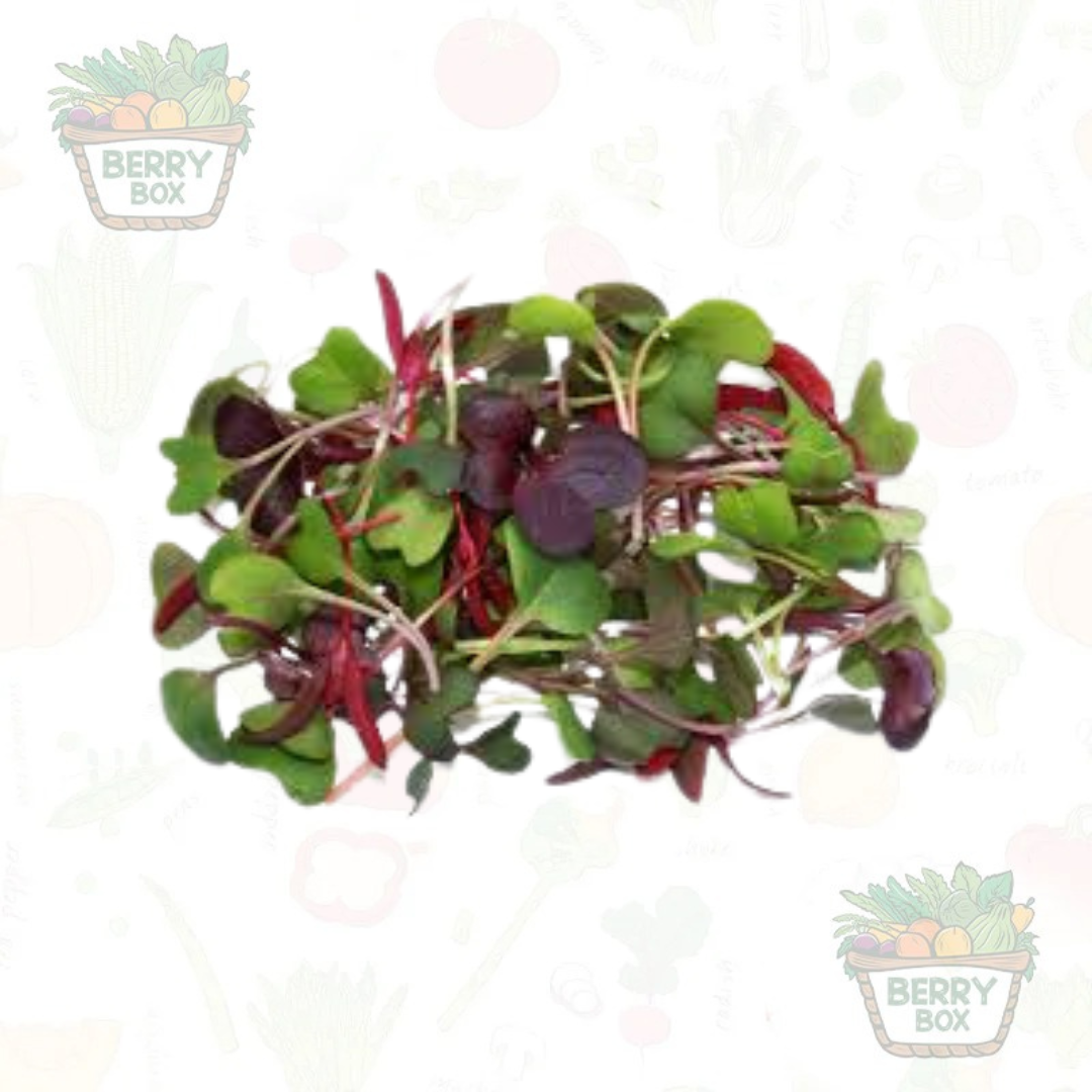 Microgreens Mix