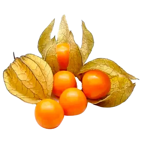 Gooseberry