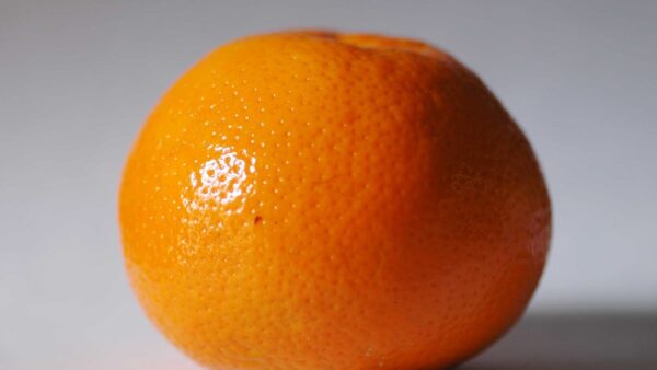 kinnow orange